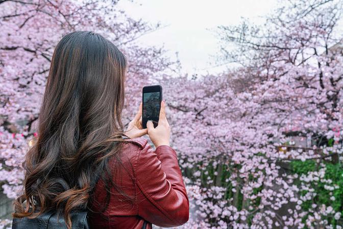 The Best eSIM Card for Travel to Japan